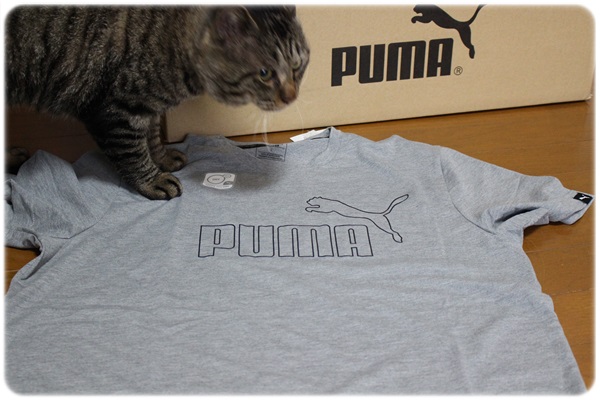 プーマ福袋に入ってたTシャツは現在パジャマにしてる