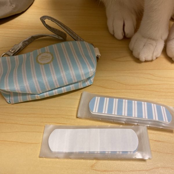 福袋に入っていたばんそうこうとばんそうこう入れ