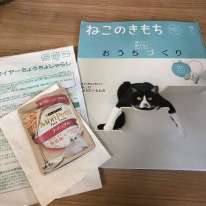 ねこのきもち７月号到着！魅惑のちょうちょじゃらし - 福袋ギルド