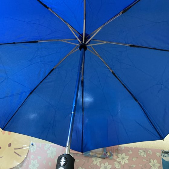 傘が入ってた。お宝ワールド福袋の中に入ってた品の一つ