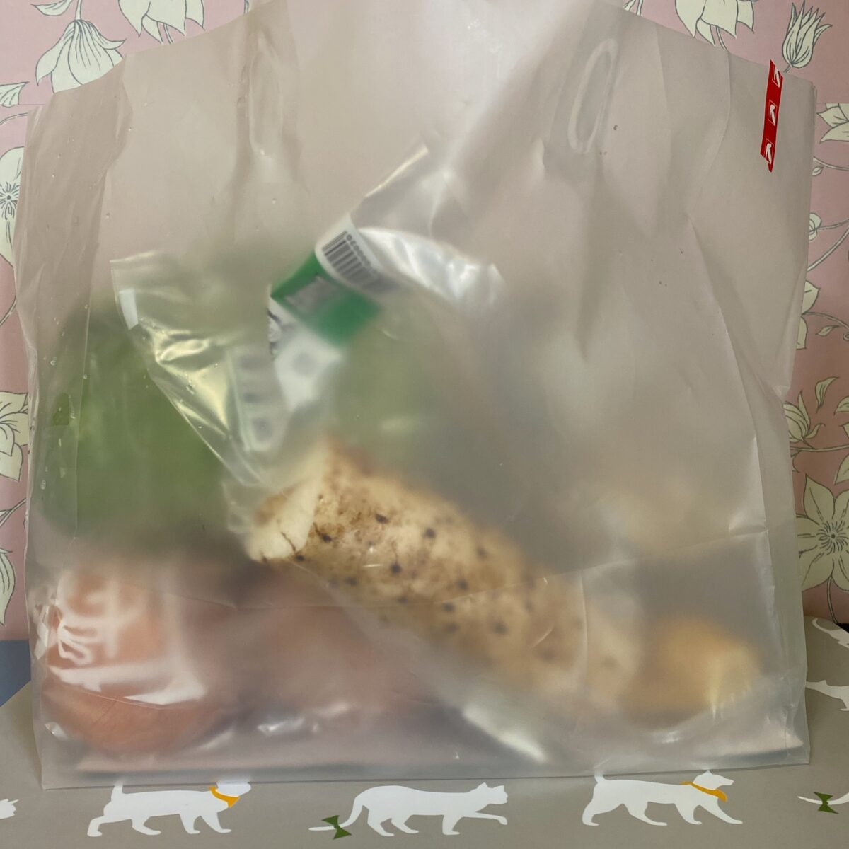 ヨーカドー福袋野菜BOX