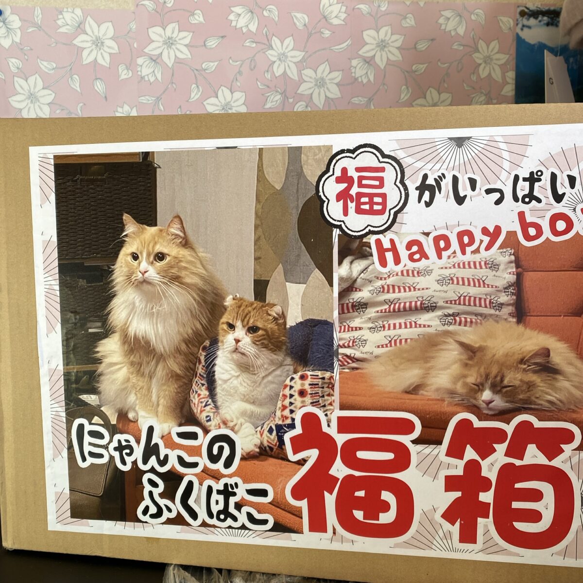 猫用の福袋とどいた