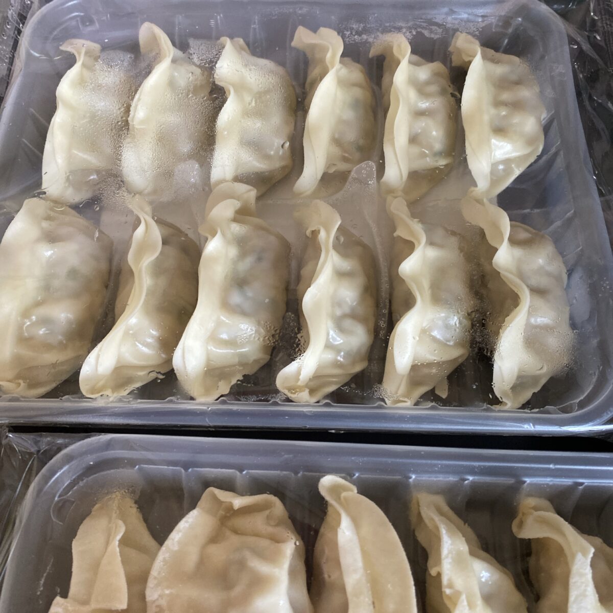こうらんの福袋に入っていた美味しそうな餃子