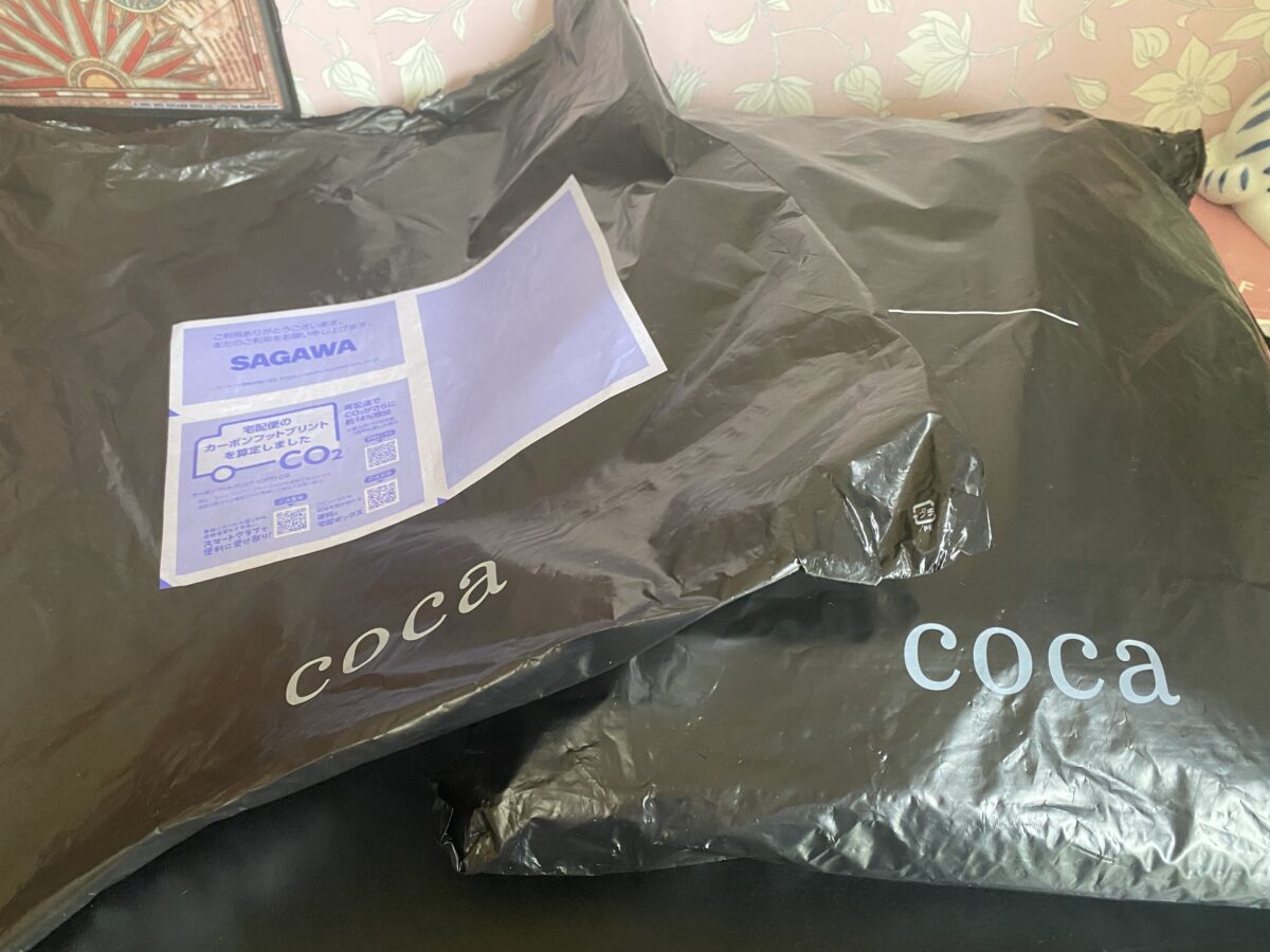 コカ福袋はビニール袋に入って届いた