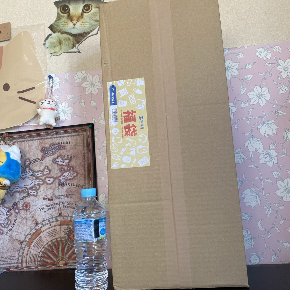 デカい段ボールで届いたサンワ福袋