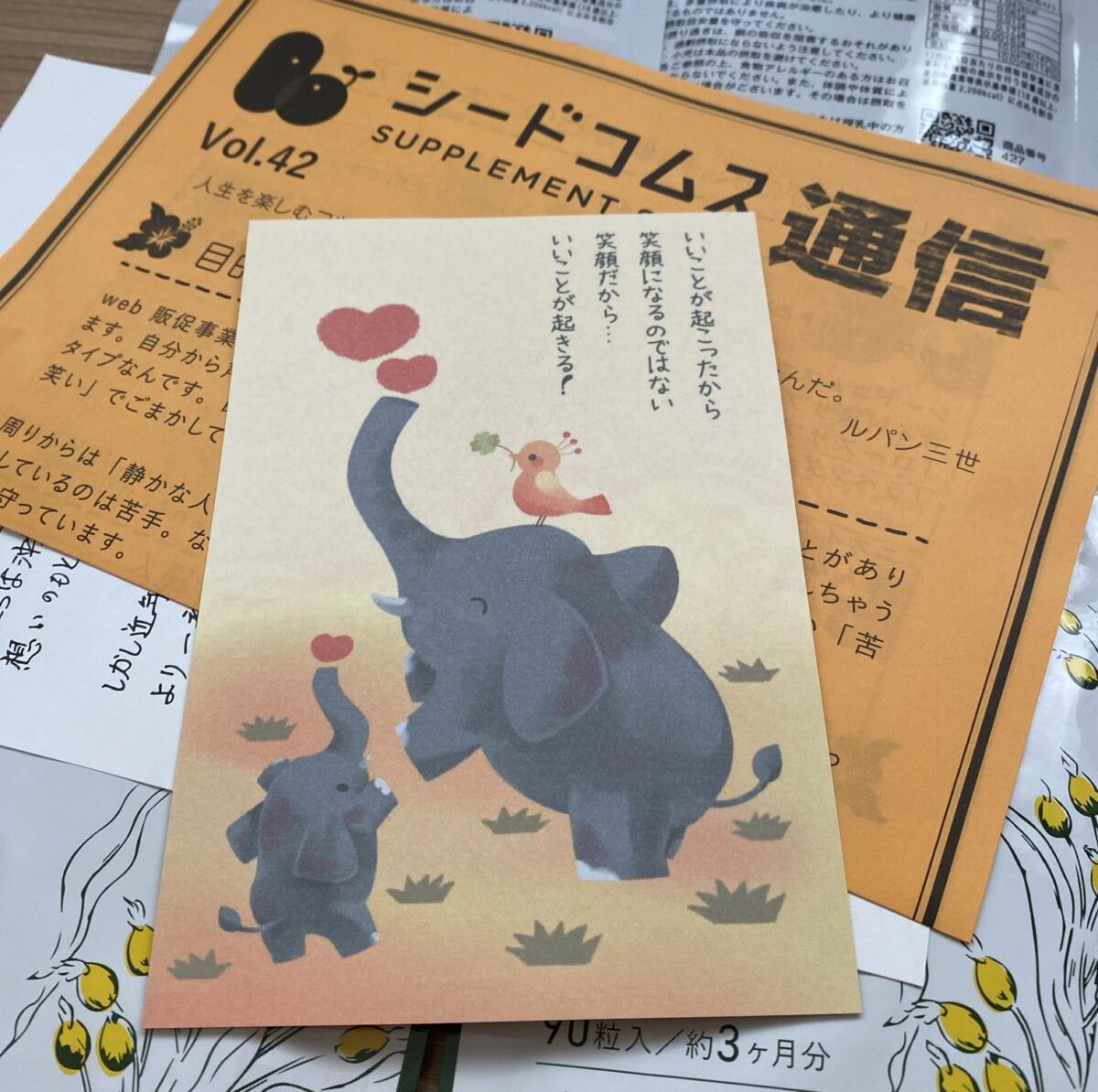 Amazonでかったサプリ福袋に入っていたペーパー