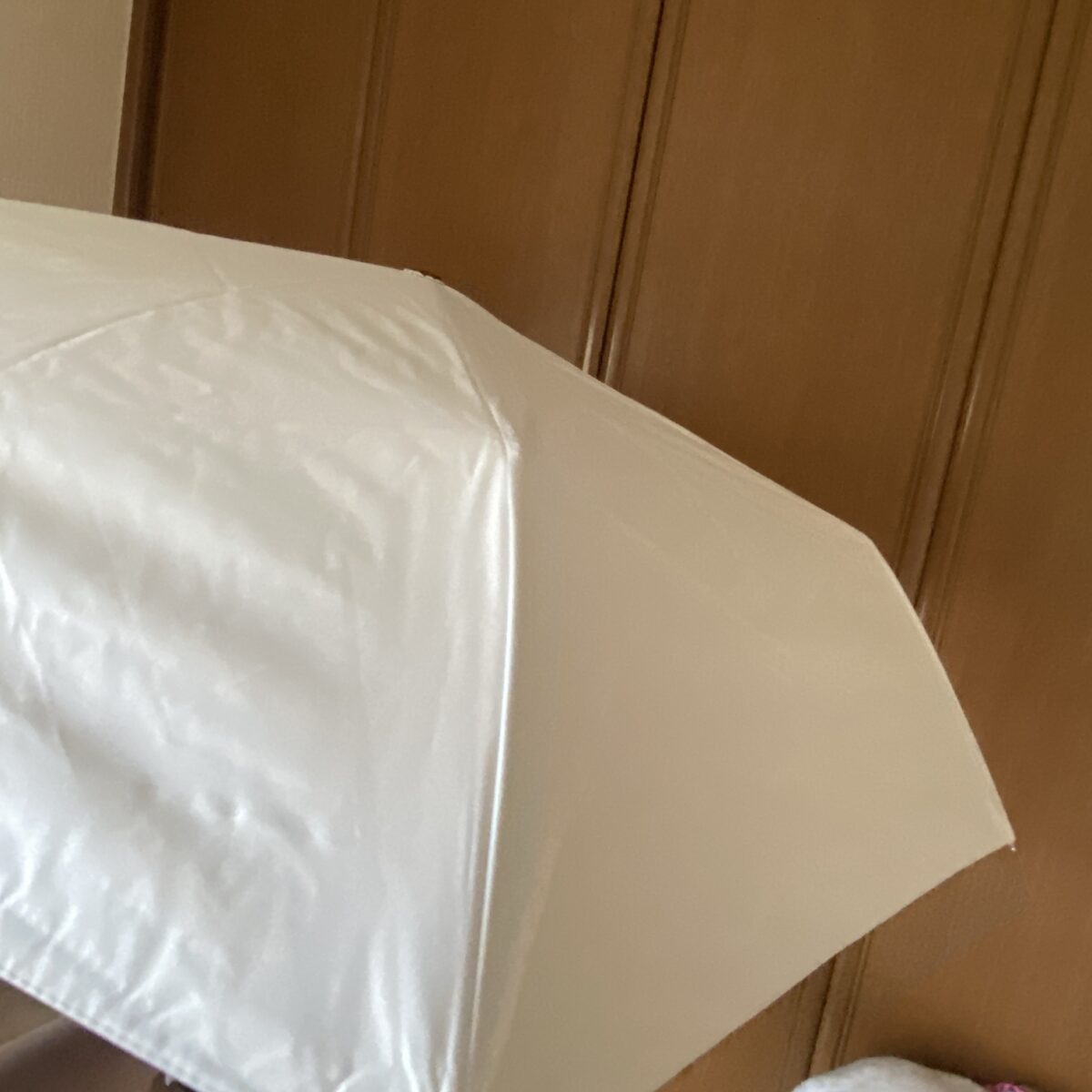 福袋に入っていた日傘