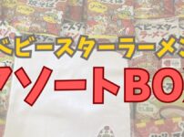 おやつカンパニー公式で買ったベビースターの人気商品が入ったアソートボックスを買った感想をまとめました