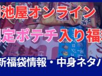 湖池屋オンラインで購入した限定ポテトチップス入りの福袋（福箱）についてのレポート記事のアイキャッチ画像