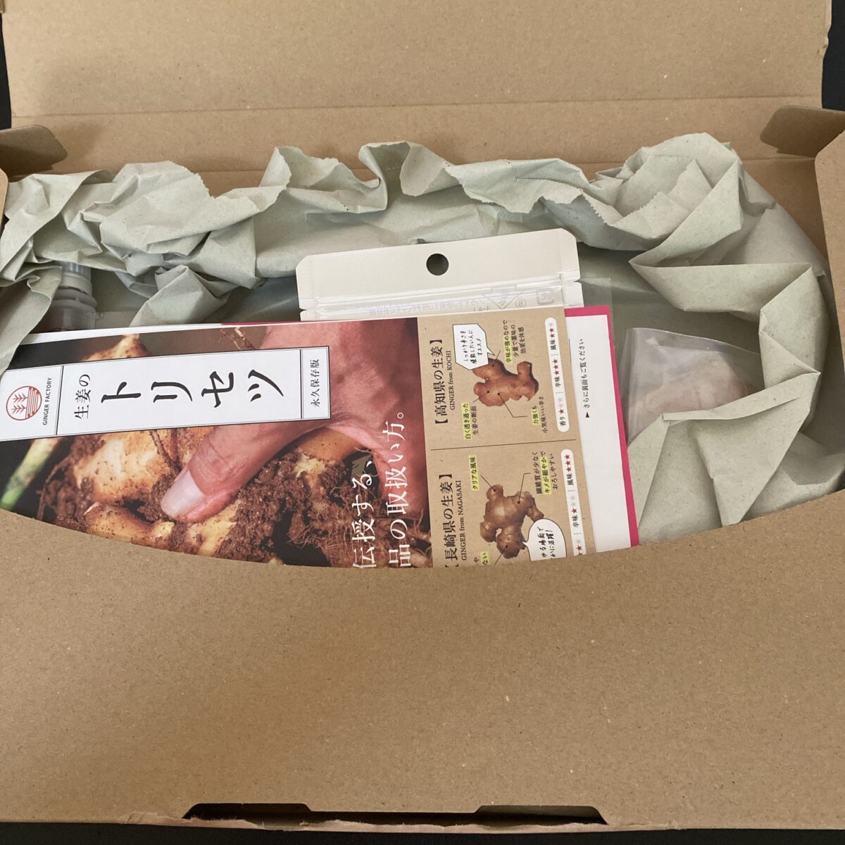 GINGER FACTORY 楽天市場店のお試しセットがとどいた!