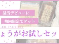 GINGER FACTORY 楽天市場店の初回おためししょうがの福袋レビュー