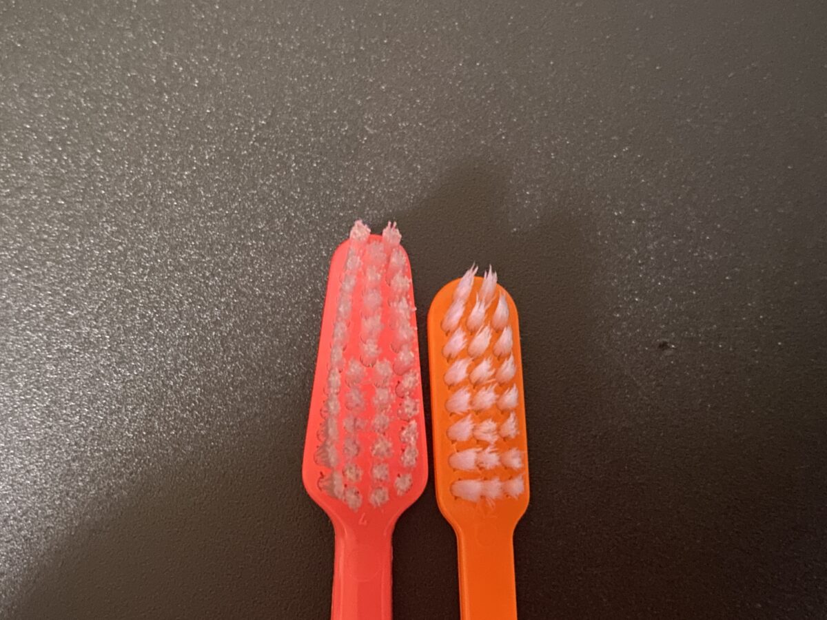 毛の部分が広いスウェーデンの歯ブラシ