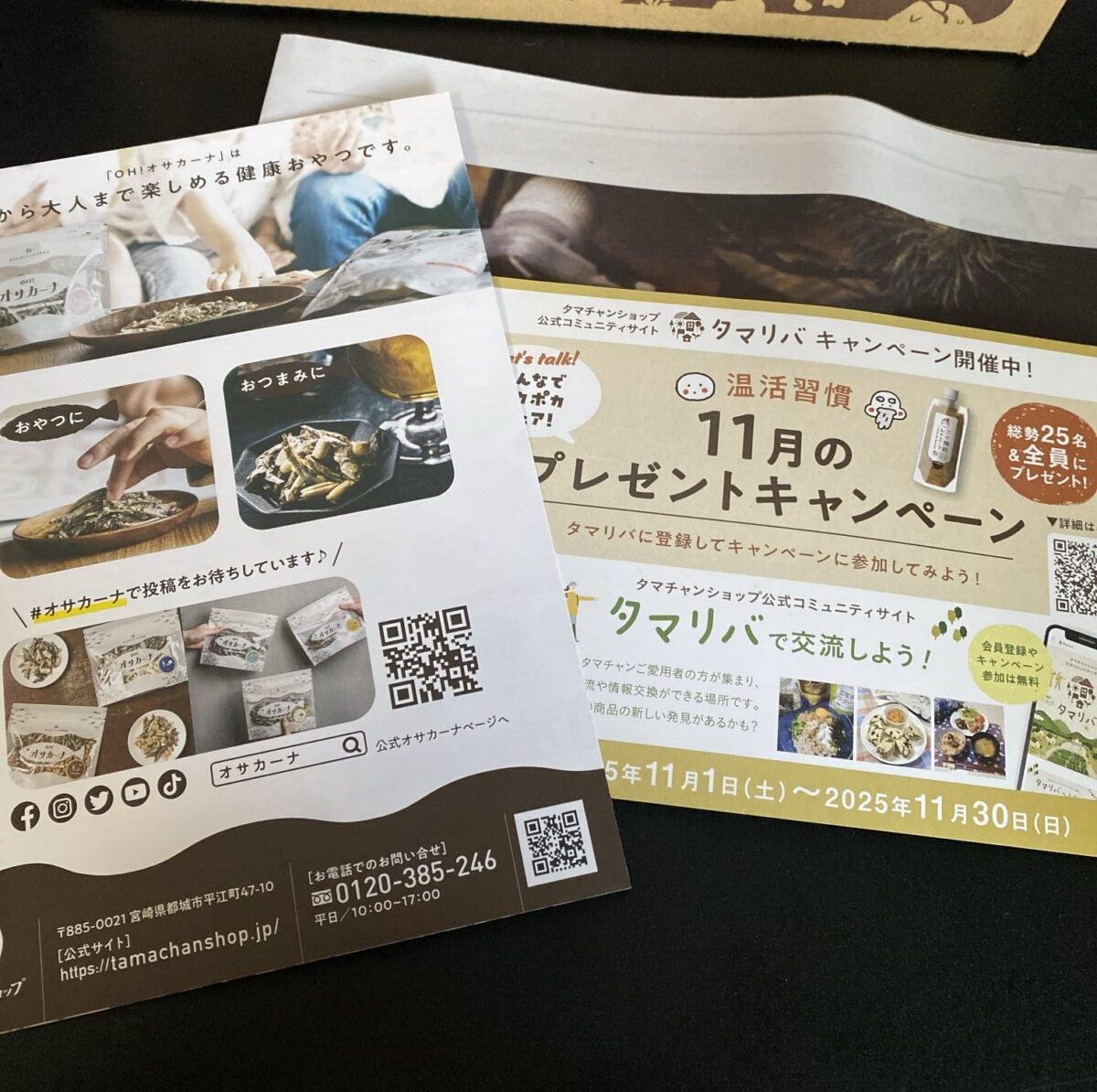 タマチャンショップのチラシ