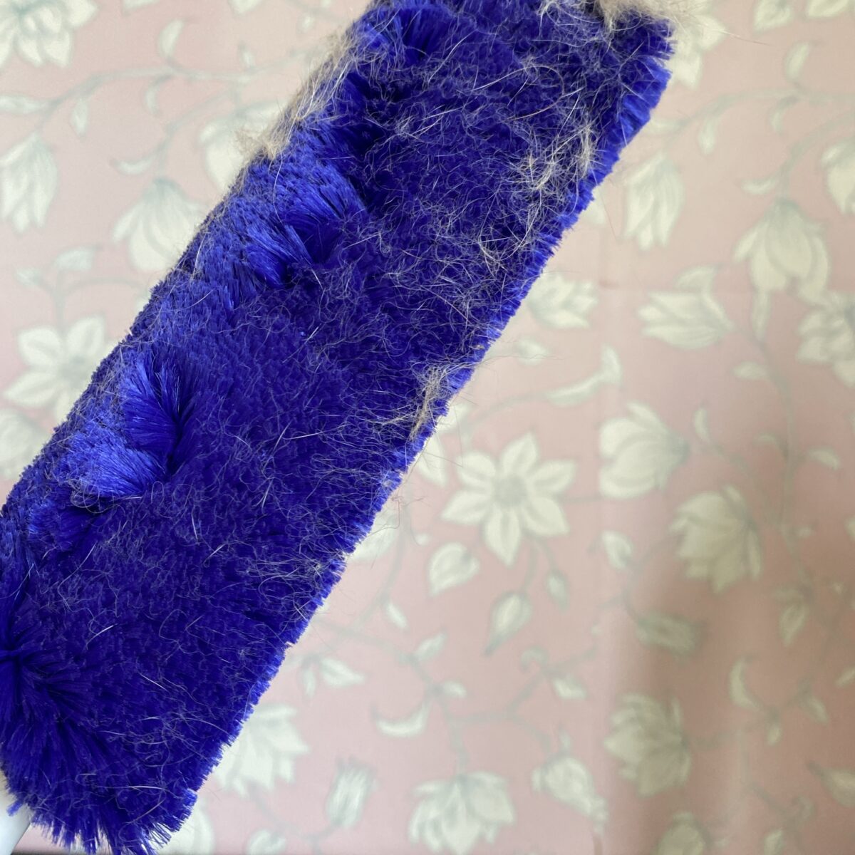 ネコの巣を掃除してみた