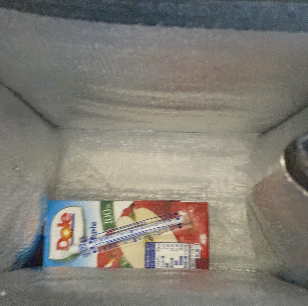 底板も入っている保冷ポーチ