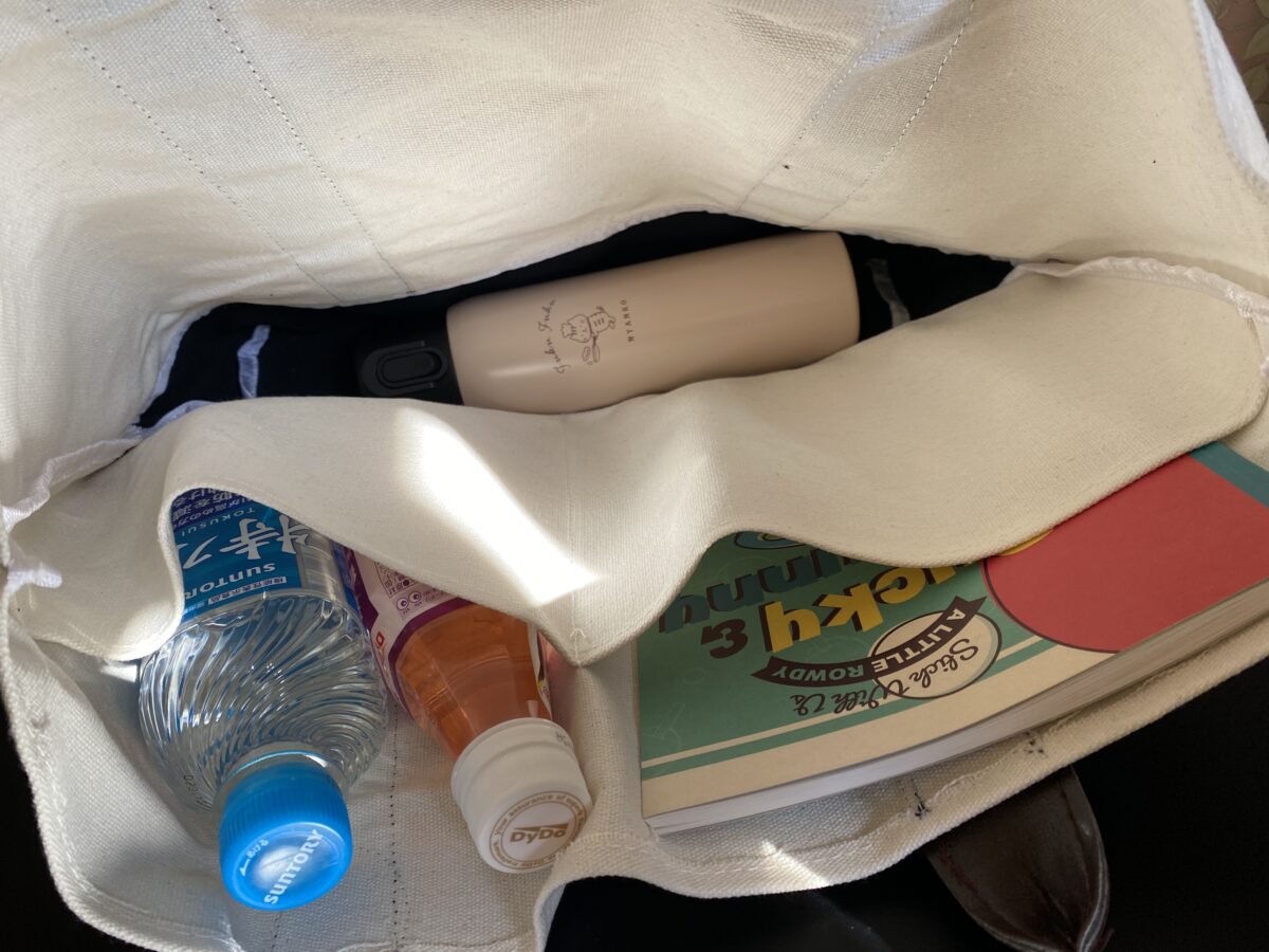 petit main 親子で使えるバッグBOOKは州能力バツグン