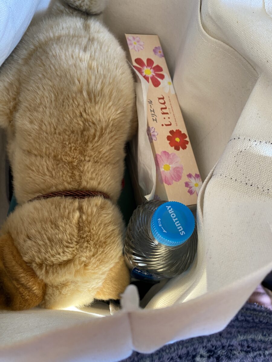 petit main 親子で使えるバッグBOOKいろいろ入るままバッグ