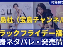 宝島社の公式サイトで買ったブラックフライデー福袋についてまとめた