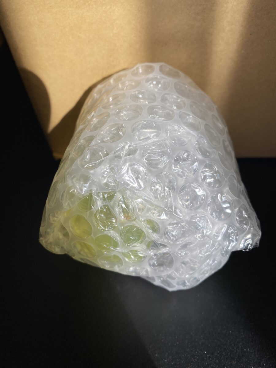 エバラ先着特典のキーホルダーは頑丈な包装でとどいた