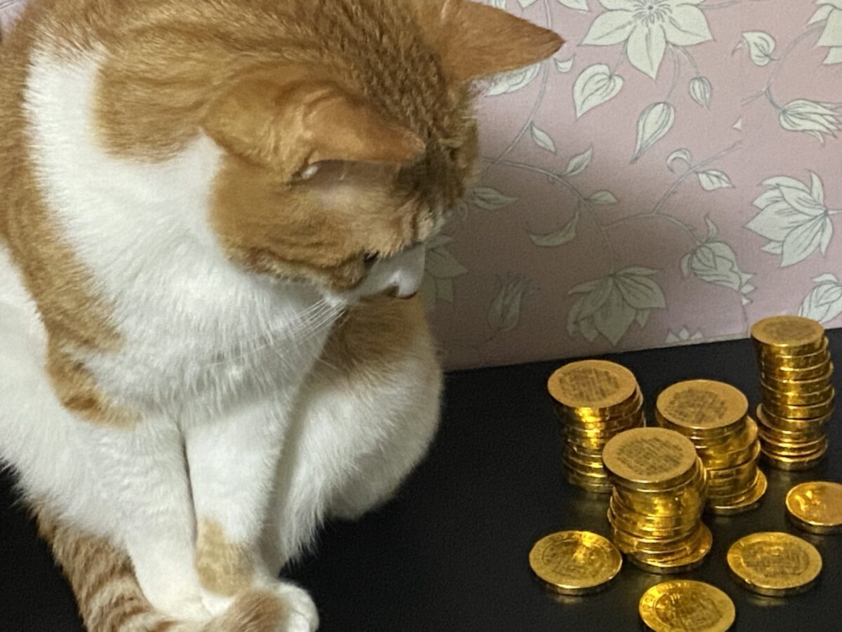 ネコが興味津々