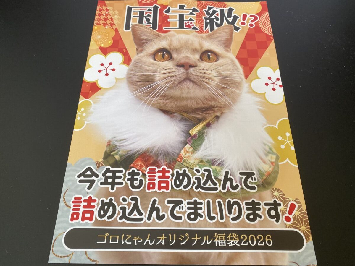 ごろにゃん福袋に入っていた福箱のサンプル表