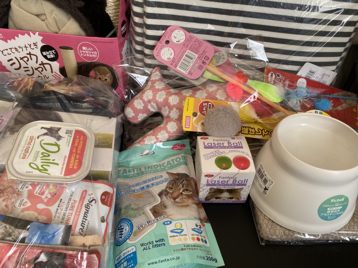 猫用品ゴロにゃん福袋2026中身開封画像