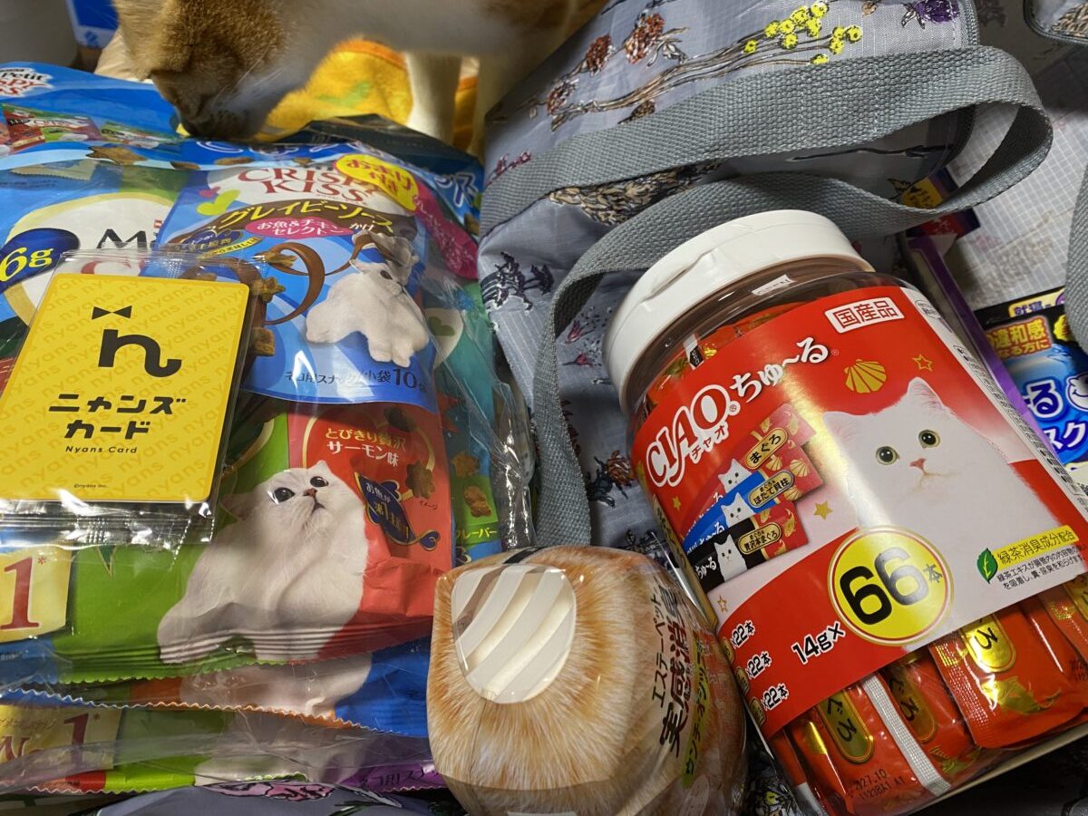 カインズにゃん祭りでいろんな猫用品を買ってきた