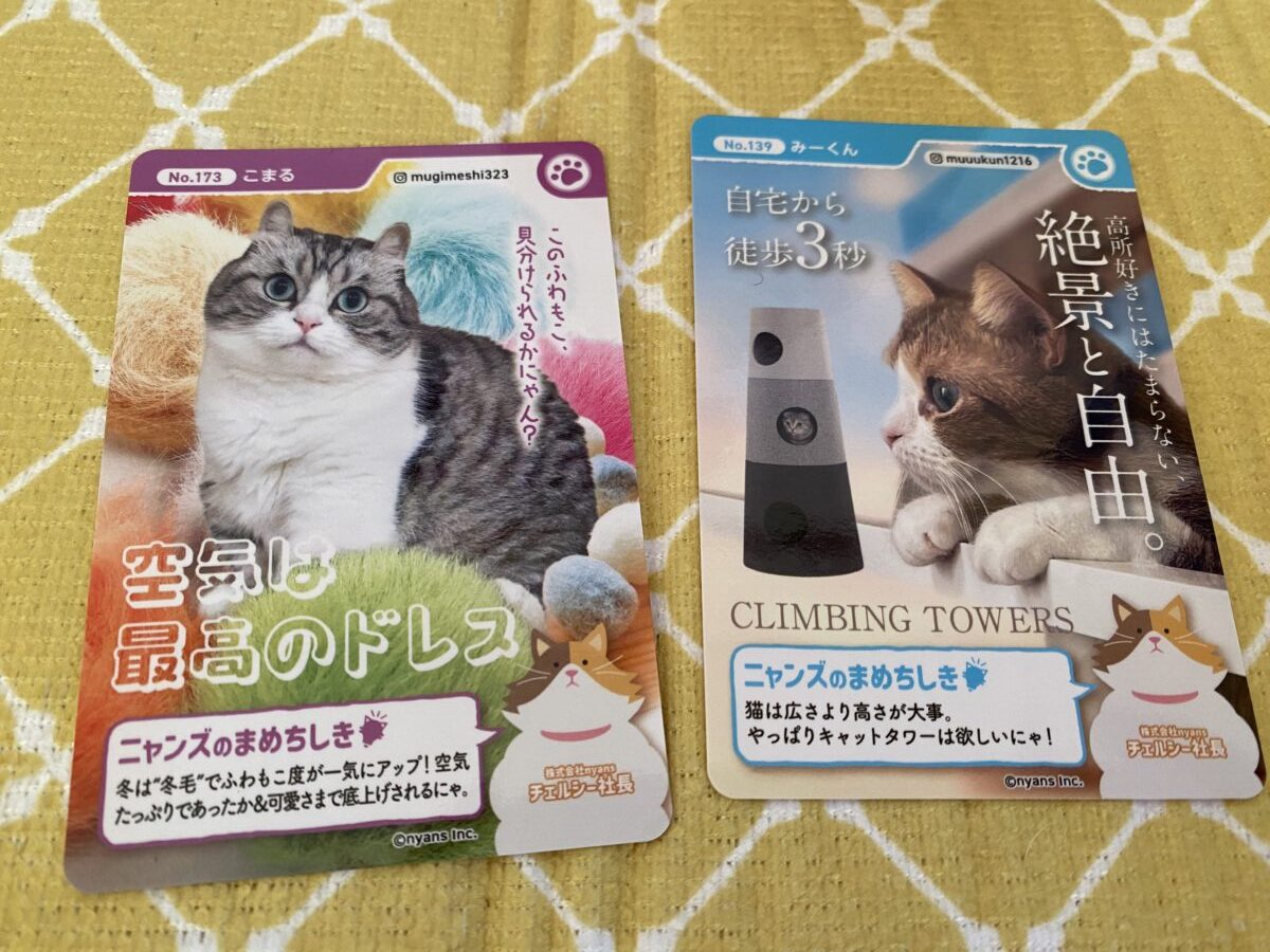 カインズの猫セールグッズについてきたニャンずカード
