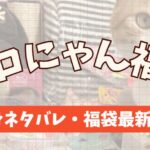 ごろにゃん福袋開封レビューまとめた記事のアイキャッチ