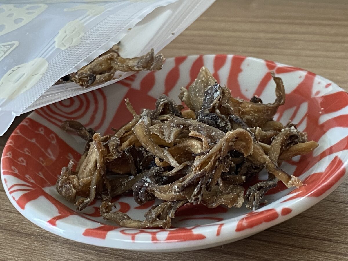 キノコッチ3月号に入ってた