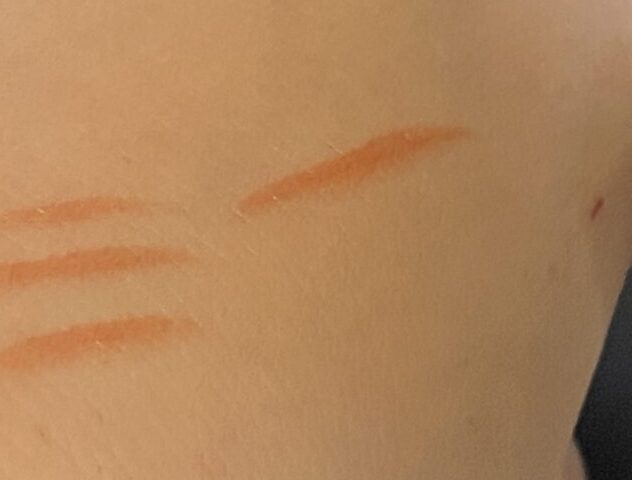 イエベに合う色来てよかったー！シュウのリップ試し塗り