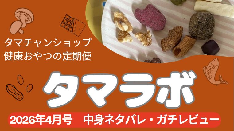 タマラボ4月号中身ネタバレのアイキャッチ画像