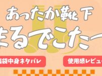 あったか靴下のまるでこたつ福袋を買ったので開封レビュー！