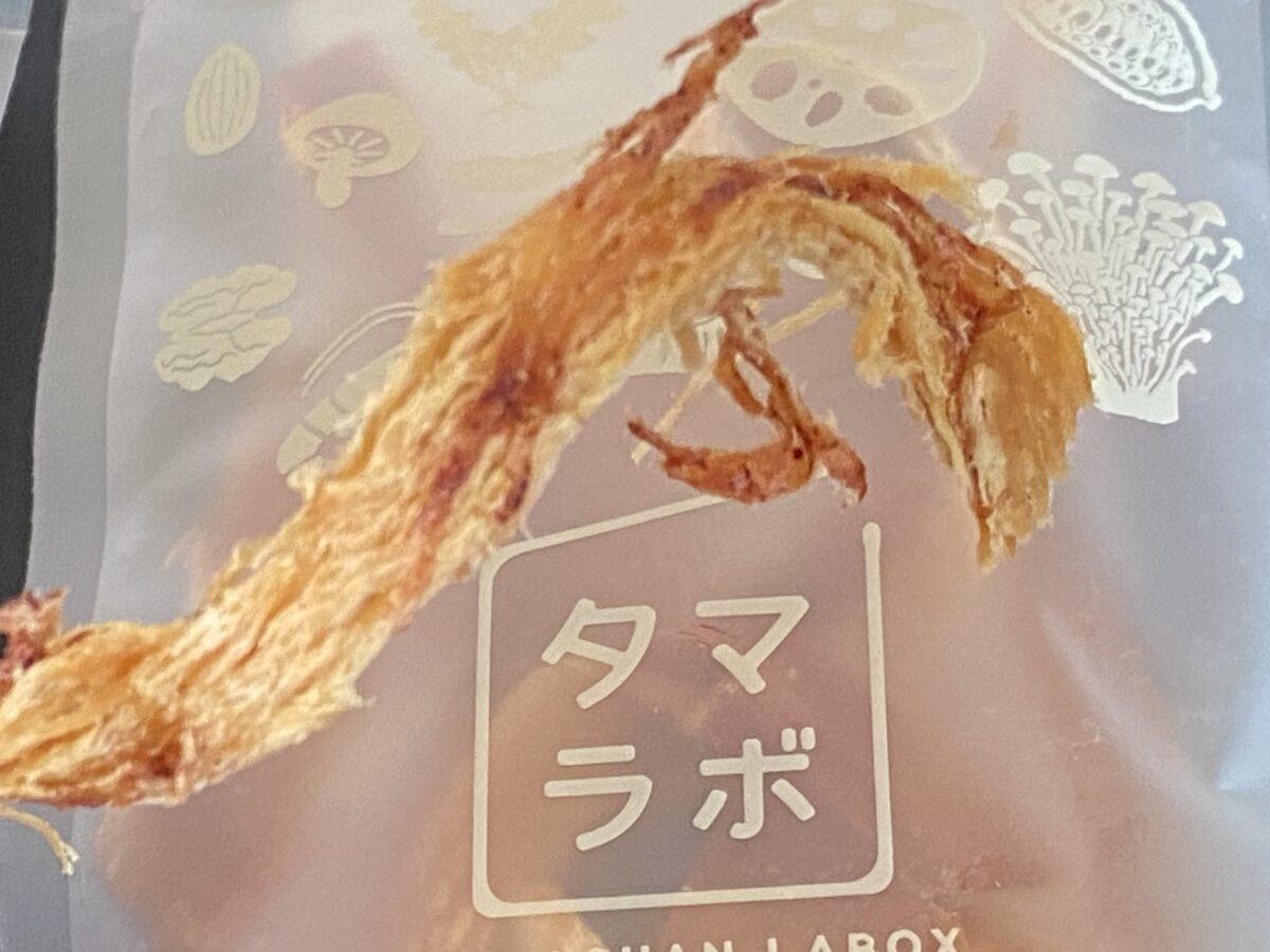 タマラボにはいっていたするめ