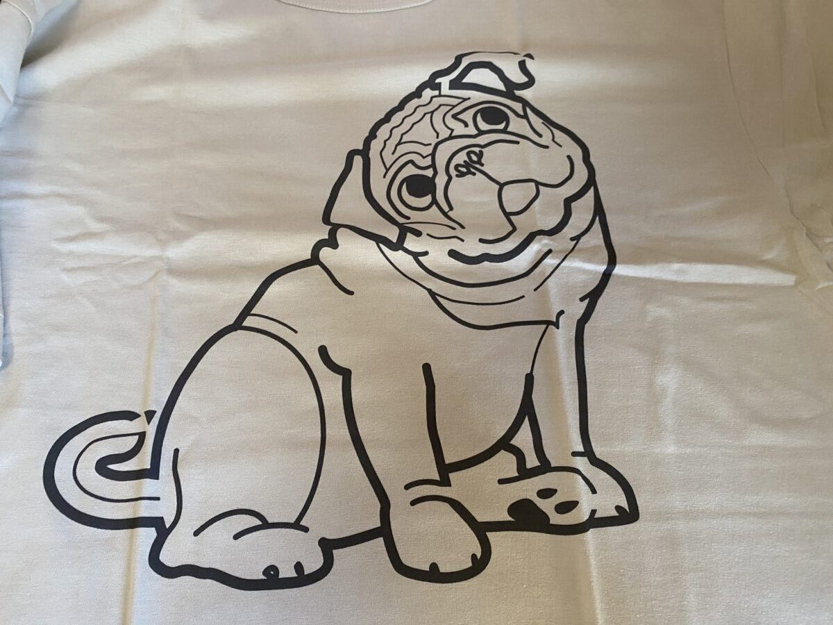 パグがかわいいオジコのTシャツが福袋に入っていた