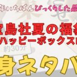宝島社2026年夏の福袋ハッピーボックスIの中身ネタバレ記事アイキャッチ画像