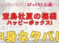 宝島社2026年夏の福袋ハッピーボックスIの中身ネタバレ記事アイキャッチ画像