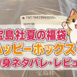 宝島社の夏福袋中身ネタバレ記事アイキャッチ画像