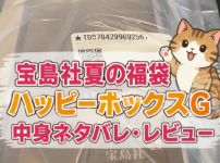 宝島社の夏福袋中身ネタバレ記事アイキャッチ画像