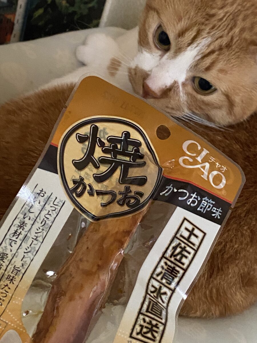 うちのねこが大好きな猫おやつが福袋に入っていた
