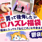 買って損した福袋まとめた記事