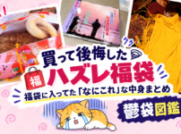 買って損した福袋まとめた記事