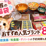 食器の福袋
